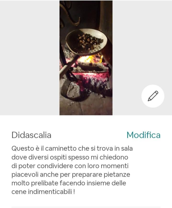 Candalla * Camaiore