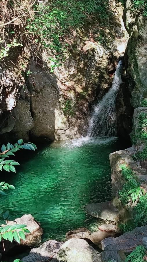 Affittacamere Candalla Camaiore