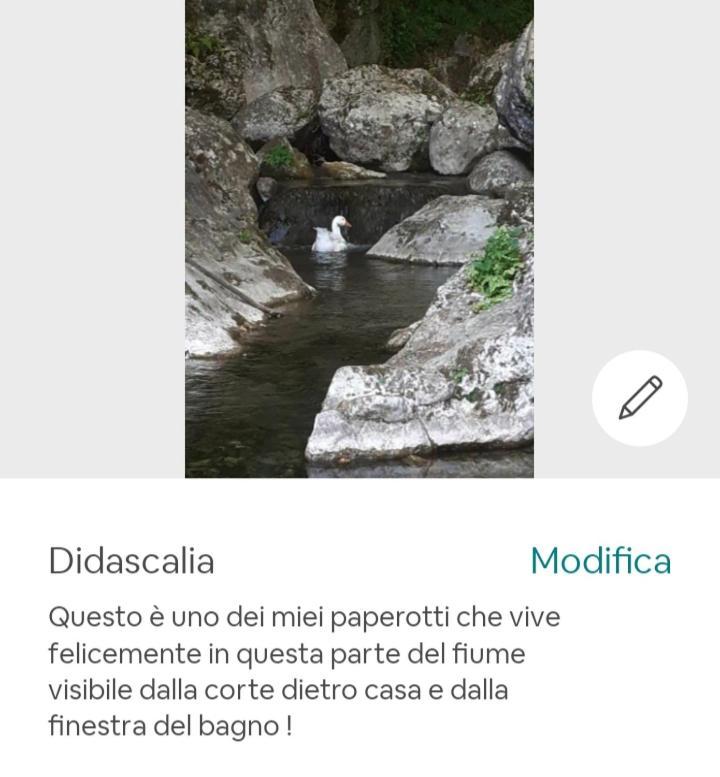 Candalla * Camaiore