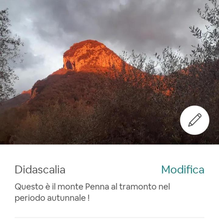 Candalla Camaiore