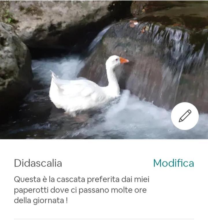 Candalla *