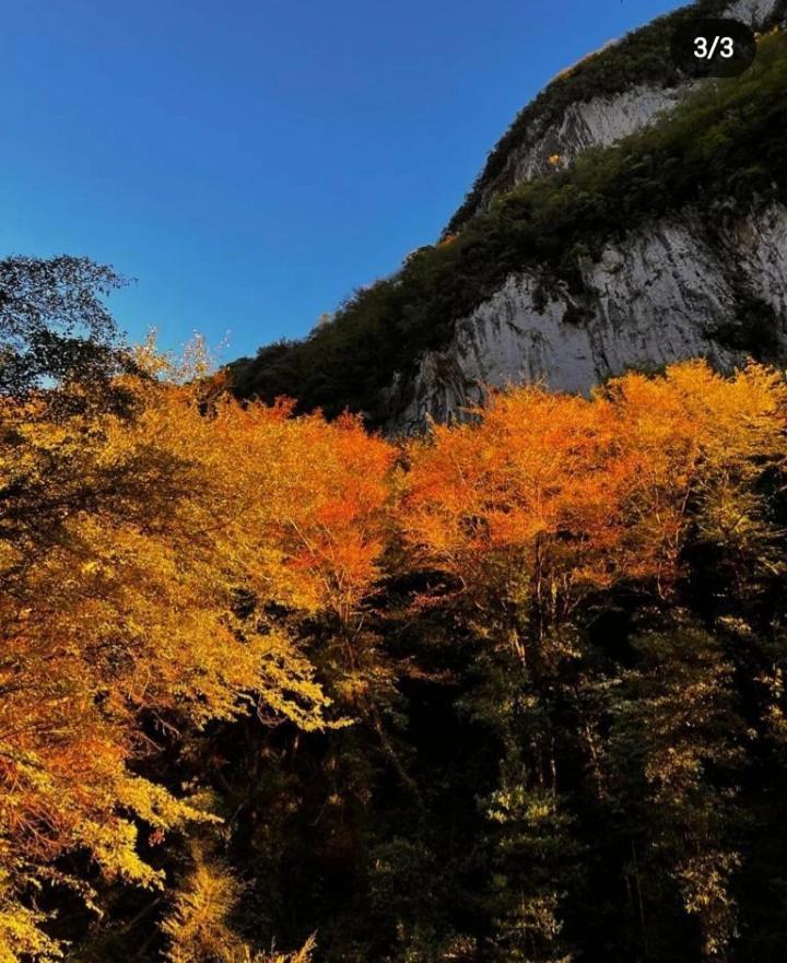 Candalla * Camaiore