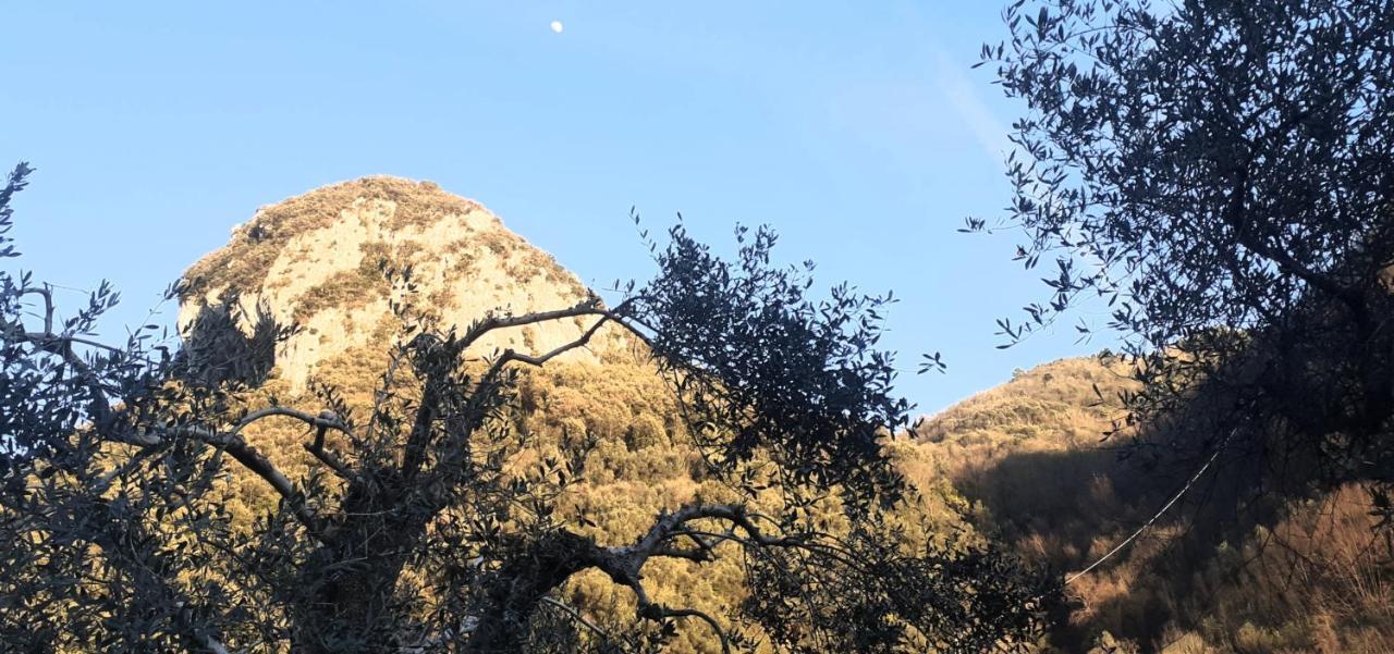 Candalla Camaiore