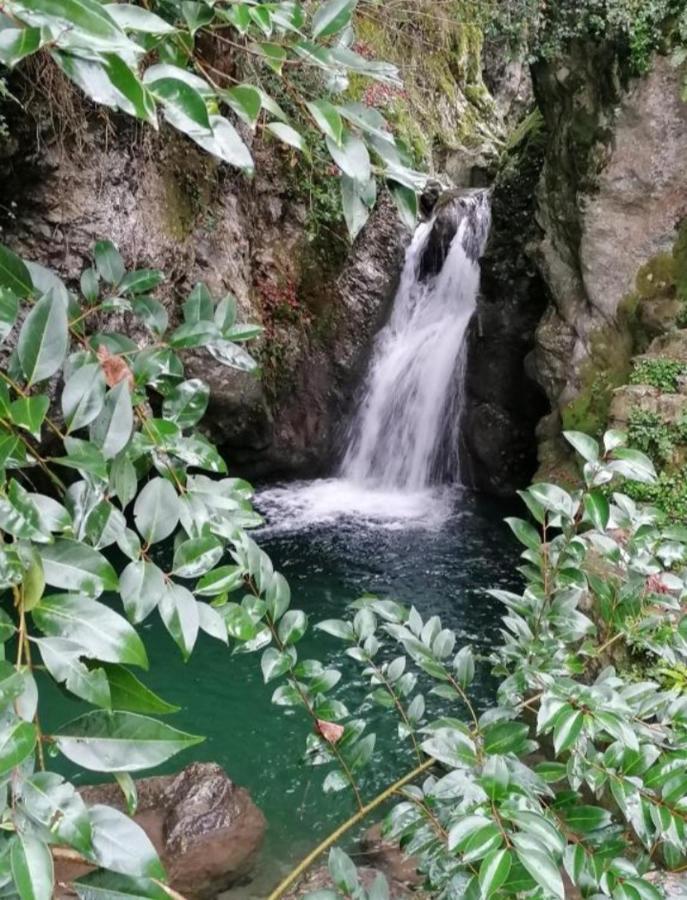 Candalla Affittacamere Camaiore
