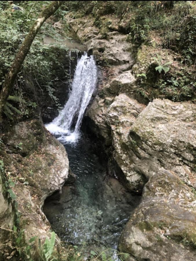 Candalla * Camaiore
