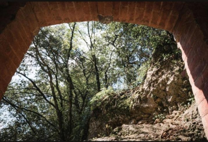 Candalla * Camaiore