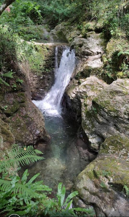 Candalla * Camaiore