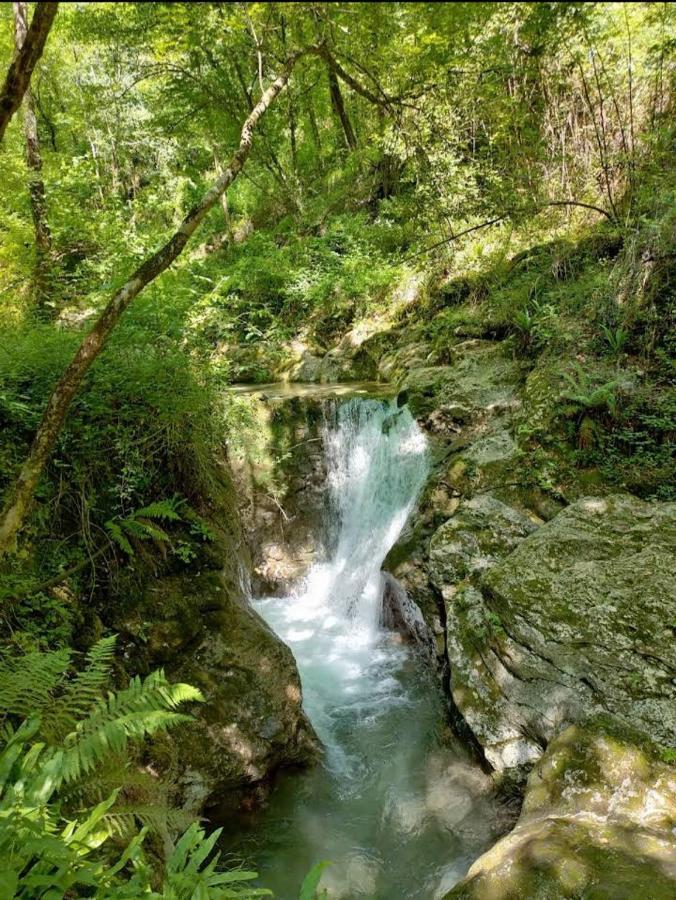 Affittacamere Candalla Camaiore
