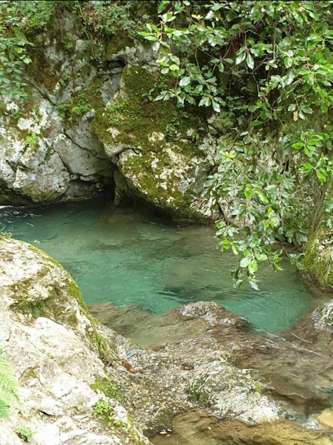 Candalla * Camaiore
