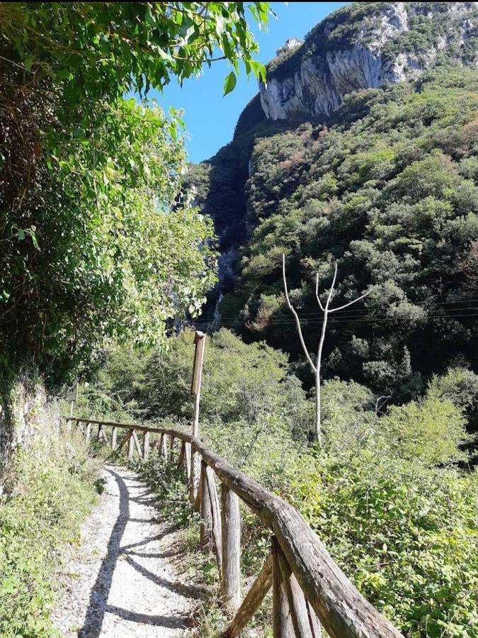 Candalla * Camaiore