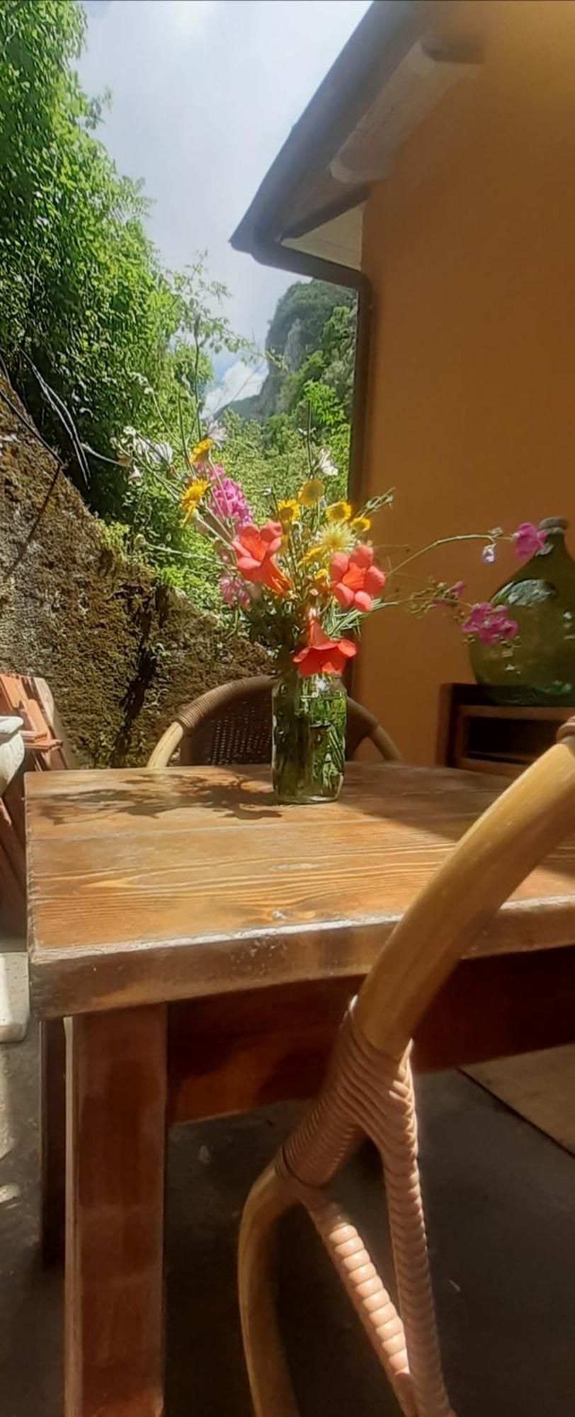 Affittacamere Candalla Camaiore